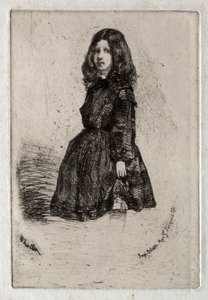 Dvanáct leptů z přírody:  Annie od James McNeill Whistler