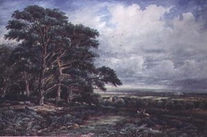Bradgate Park poblíž Leicesteru, akvarel