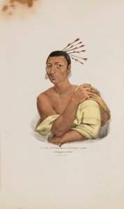 AT-TE-CONSE aneb Mladý jelen; náčelník Chippewayů, z portfolia domorodců