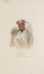 CHA-CO-TO, náčelník Pottowattomie, z portfolia domorodců od James Otto Lewis