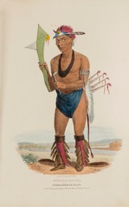 CUT-TAA-TAS-TIA; Slavný náčelník kmene Foxů, od The Aboriginal Portfolio od James Otto Lewis