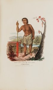 MEN-DOW-MIN aneb Kukuřice; Chippewský trpaslík z portfolia domorodců od James Otto Lewis
