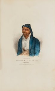 MO-WAN-ZA neboli Malý vlk; náčelník z Miami, z portfolia domorodců od James Otto Lewis