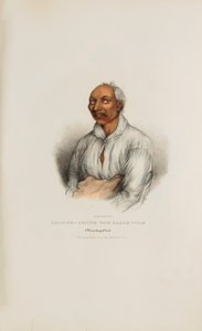 Černý vlk SHOUNK-CHUNK; náčelník Winnebago, z portfolia domorodců od James Otto Lewis