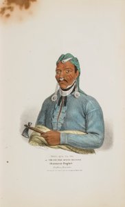 TENS-QUA-TA-WA neboli Ten, který otevírá dveře; Shawneský prorok (bratr Tecumthe), z Domorodého portfolia od James Otto Lewis