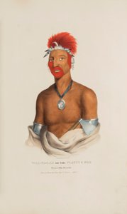 WAA-PA-LAA neboli Hrající liška; Princ liščího kmene, z portfolia domorodců od James Otto Lewis