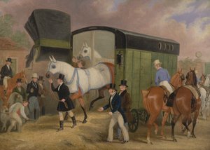 The Derby Pets: The Arrival od James Pollard