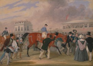The Derby Pets: The Winner od James Pollard
