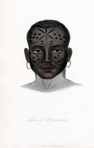 Pochází z Mosambiku, kolem roku 1850. od James Prichard