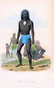 Rodáci z Tilcopia, c1850. od James Prichard