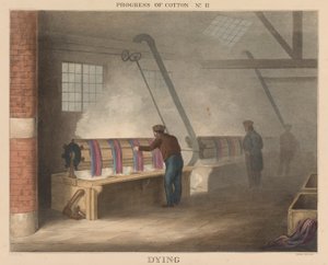 Progress of Cotton: # 11 - Umírání od James Richard Barfoot