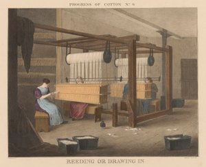 Progress of Cotton: #9 – rákosí nebo vtahování od James Richard Barfoot