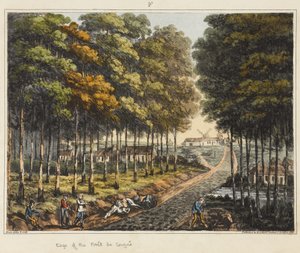 Edge of the Foret de Soignes, z „Historické zprávy o bitvě u Waterloo“, 1817 (barevná akvatinta)