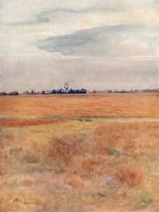 „Wimbledon Common“, 1912, 1914