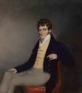 Portrét gentlemana ve žluté vestě, kolem roku 1795 (pastel na papíře) od James Sharples