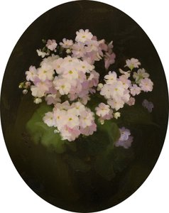 Primulas, 20. století (olej na plátně) od James Stuart Park