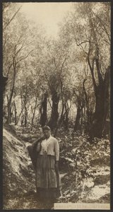Mše svatá - Olive Grove od James W. Holcombe