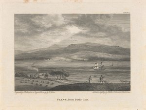 Flint, z Park-Gate