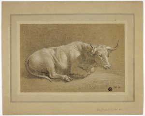 Herefordshire Fat Ox od James Ward