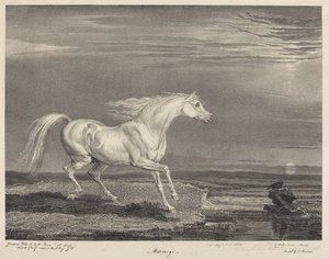 Marengo od James Ward
