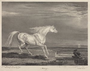 Marengo od James Ward