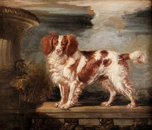 Portrét Dash, oblíbený španěl, majetek Lady Frances Vane-Tempest od James Ward