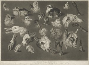 Studie z přírody, 1807 od James Ward