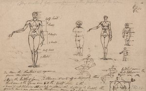 Studium anatomie, měření a psaní od James Ward