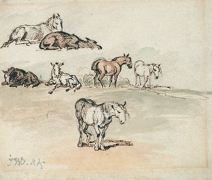 Studie o koních od James Ward