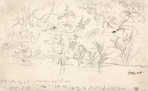 Studie rostlin, 2. srpna 1815 od James Ward