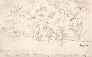 Studie o rostlinách, 2. srpna 1815 od James Ward