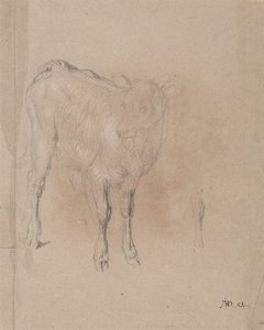 Studie tele od James Ward