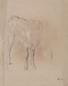 Studie telete od James Ward