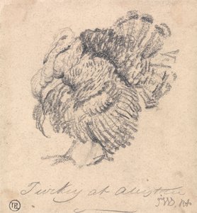 Studie o Turecku od James Ward