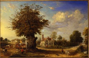 Yeldham Oak v Great Yeldham, Essex, 1833