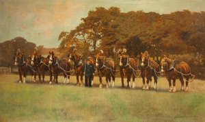 Shirští koně, 1896 od James Weaver Tattersall