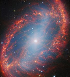 Bližší pohled na místní galaxii (NGC 2566) od James Webb Space Telescope (NASA)