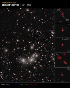Galaxy Protocluster (obrázek kompasu NIRCam) od James Webb Space Telescope (NASA)
