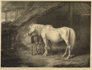 Primrose and Foal, from Celebated Horses, soubor čtrnácti závodních tisků vydaných umělcem, 1823-24 od James after Ward