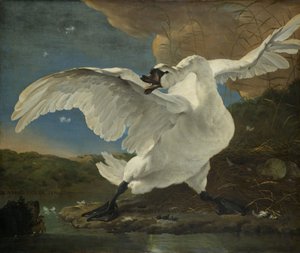 The Threatened Swan, c.1650