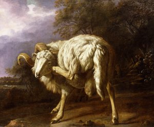 Beran v zalesněné krajině, od Jan Baptist Weenix