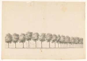 Bomenallee v Batavia od Jan Brandes