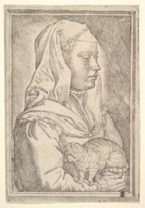 Dívka s kočkou, 1546. od Jan Cornelisz Vermeyen
