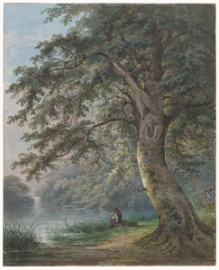 Rybář pod velkým stromem u rybníka od Jan David Geerling Grootveld