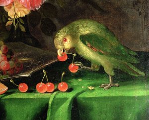 Zátiší ovoce a květin, detail papouška olej na plátně detail 100411