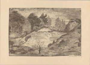 Heath poblíž Laren od Jan Fekkes (signed by artist)