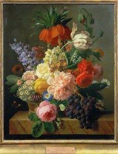 Květiny a ovoce ... (malba na plátně) od Jan Frans van Dael