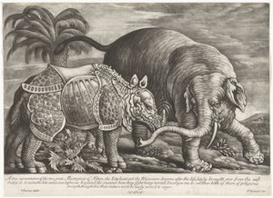 Olifant een neushoorn Skutečné zobrazení dvou velkých mistrovských děl přírody, slona a nosorožce (název na předmětu)