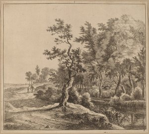 Krajina s klikatou cestou od Jan Hackaert