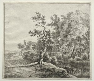 The Serpentine Road od Jan Hackaert